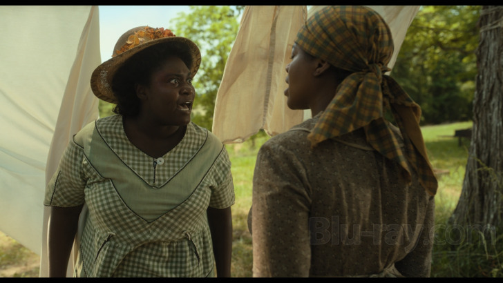 The Color Purple Blu-ray (Blu-ray + Digital HD)