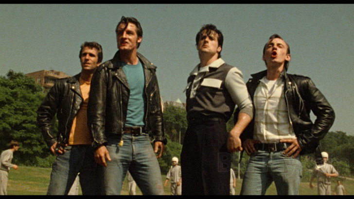 The Lords of Flatbush Blu-ray