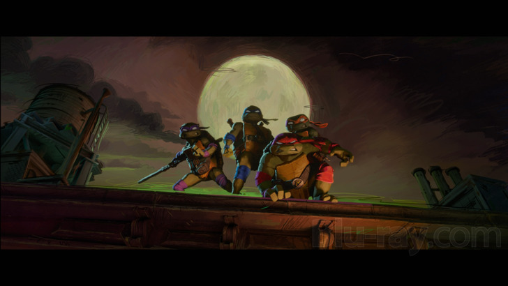 Teenage Mutant Ninja Turtles: Mutant Mayhem 3D Blu-ray (Blu