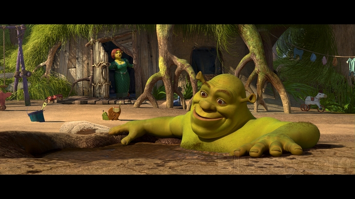 Shrek Forever After Blu-ray (Blu-ray + DVD)