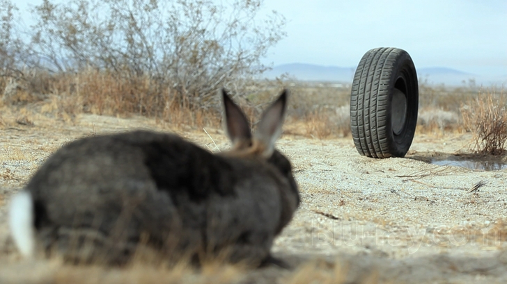 RUBBER Review (Blu-ray)