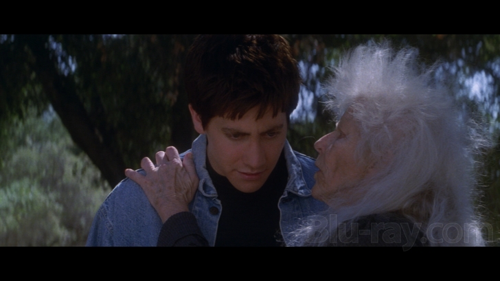 donnie darko full free director cut