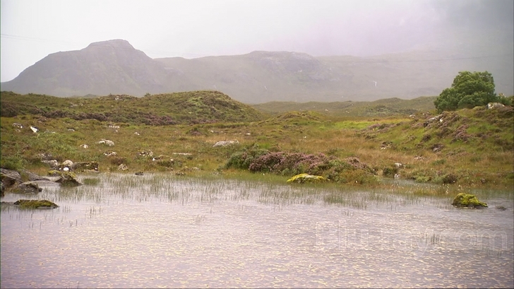 Best of Europe: The British Isles Blu-ray (Blu-ray + DVD + Digital)
