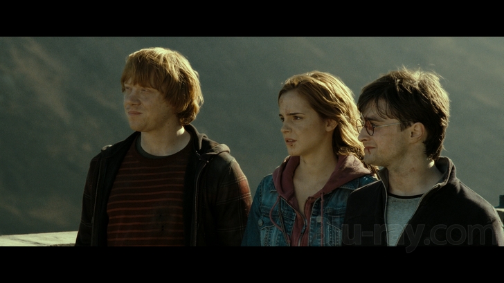 Harry Potter and the Deathly Hallows Part 1' Features Best Scene