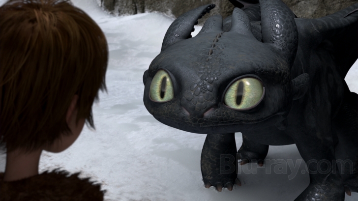 How to Train Your Dragon: The Short Film Collection (Other