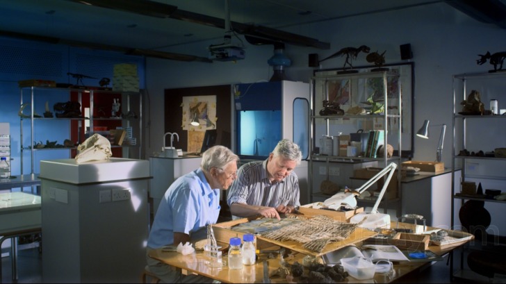 (未使用･未開封品)Flying Monsters 3d [Blu-ray] Amazon.com: Flying Monsters 3D : David Attenborough, Matthew