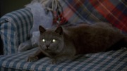 Pet Sematary Blu-ray