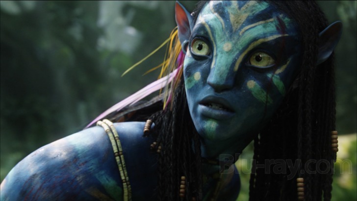 Dawn of The Discs on Twitter Coming to 4K UHD 620 from Disney Avatar  2009 4K UHD Avatar The Way of Water 2022 4K UHD httpstcoZfuo55aSXg  FilmTwitter Avatar AvatarTheWayOfWater 4KUltraHD 4K Bluray 
