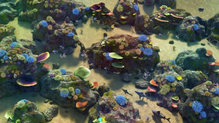 The Reef 2: High Tide Blu-ray (Blu-ray + DVD)