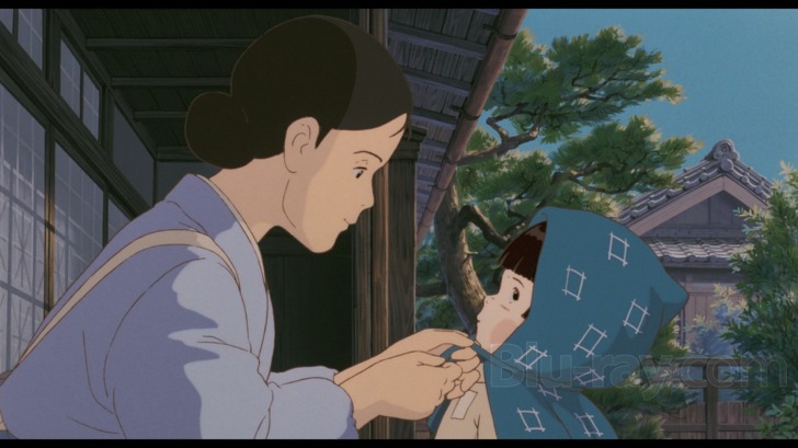  Grave of the Fireflies (Blu-ray + DVD) : Movies & TV