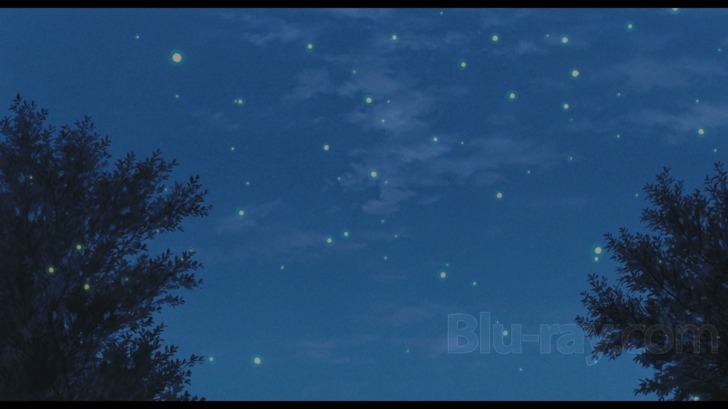 Grave of the Fireflies [Steelbook] (Blu-ray) (1988) - Sentai