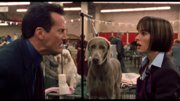 Best in Show Blu-ray