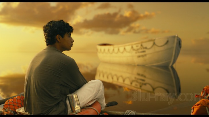 Life of Pi' Review: Crouching Tiger, Open Sea, Arts