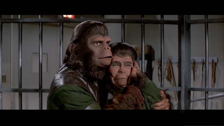 escape from the planet of the apes dvd