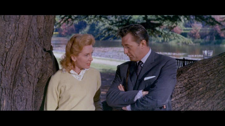 The Grass Is Greener Blu ray