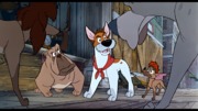 Oliver and Company DVD (Oliver & Co. | 20th Anniversary Edition) (Germany)