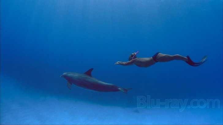 Dolphins Blu-ray (IMAX)