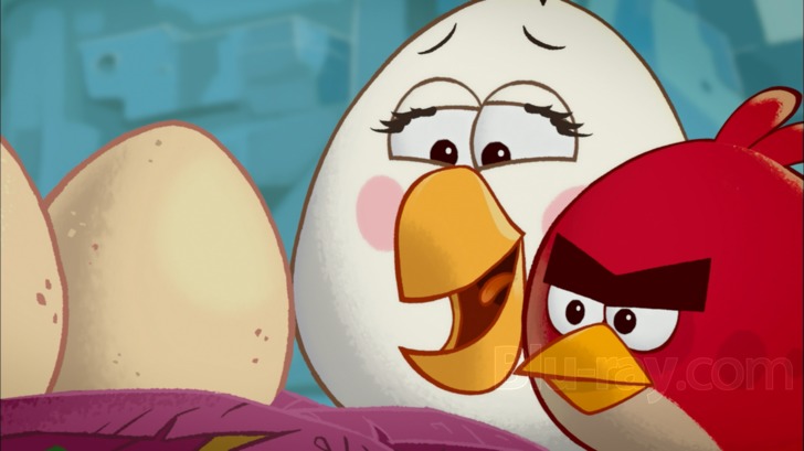 foto angry birds toons