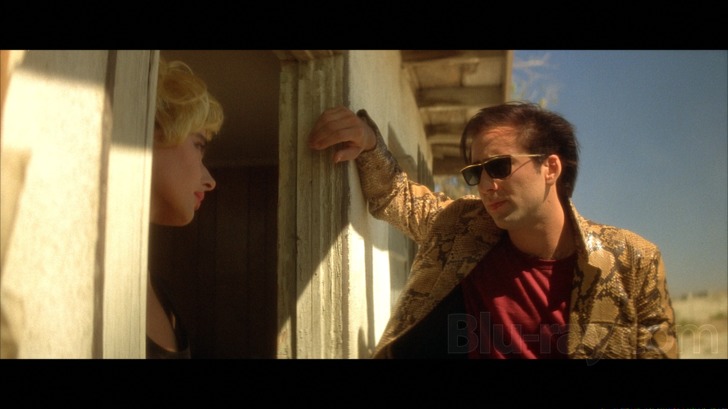 Wild At Heart : Nicholas Cage, Laura Dern, Willem Dafoe, Diane Ladd, Harry  Dean Stanton, Isabella Rossellini, David Lynch: Movies & TV 